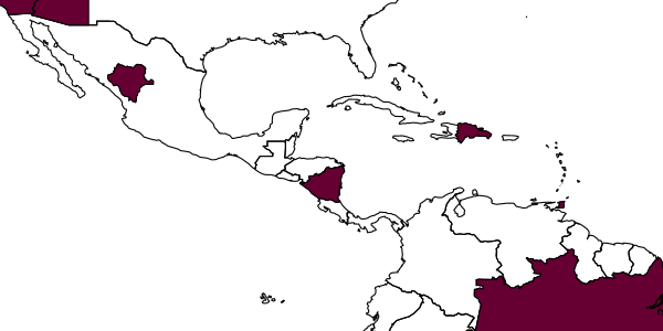 map of Laelius gracilis     (Evans, 1965)
